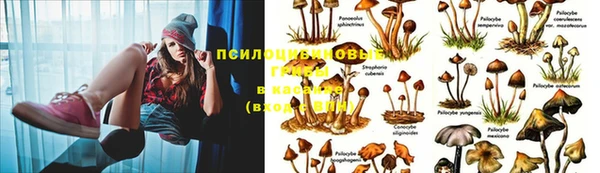 кристаллы Осинники
