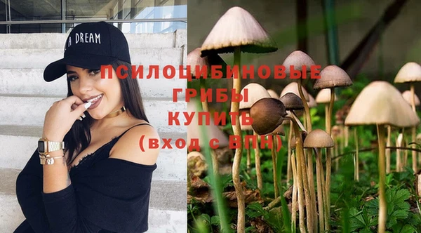 кристаллы Осинники