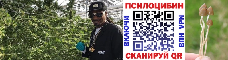 Псилоцибиновые грибы мицелий  это состав  Артёмовск 